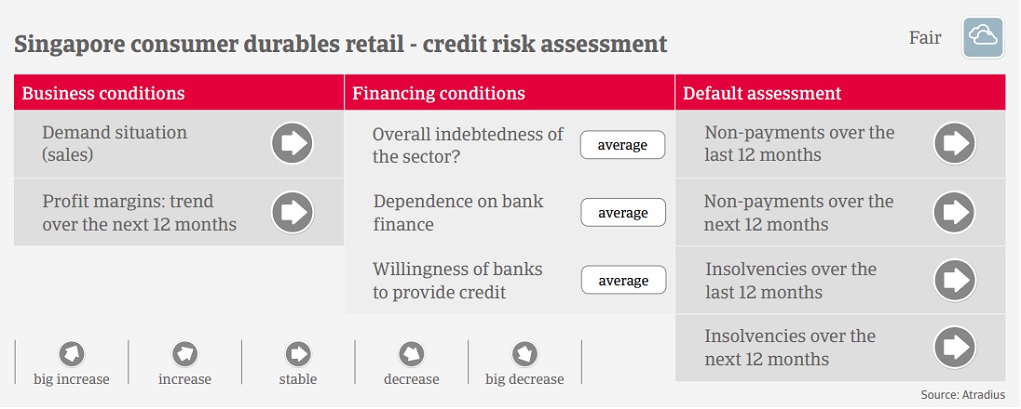 (ZH-HK) Singapore consumer durables retail - credit risk