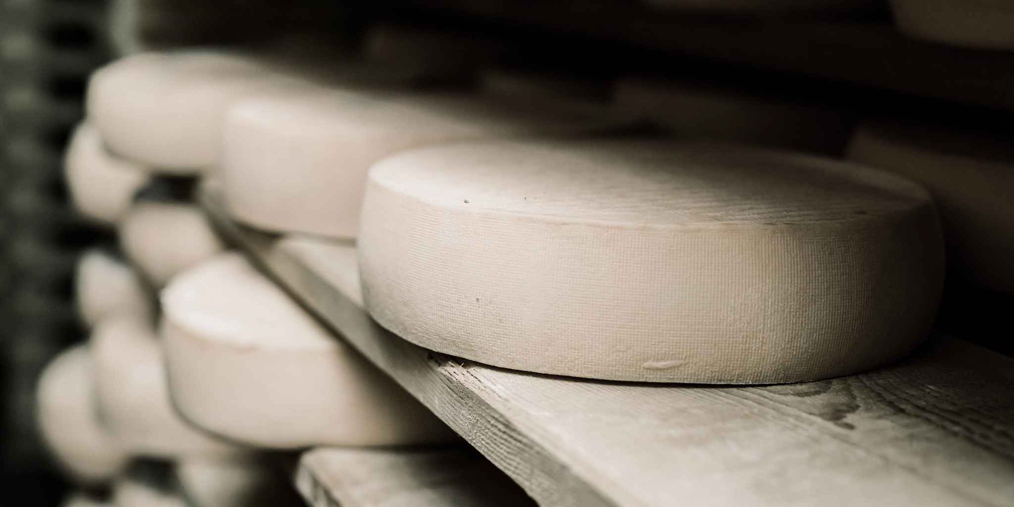 Rounds of cheese stacked on shelves - Lacto Testimonial testimonial | Atradius